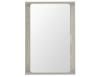 Arced Mirror / 80 x 55cm / Light Grey