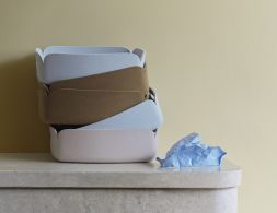 Restore Tray Insitu 2