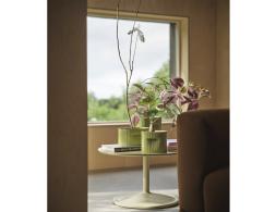 Ridge Planter Range Insitu 2