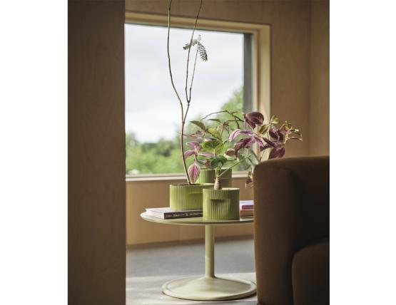 Ridge Planter Range Insitu 2