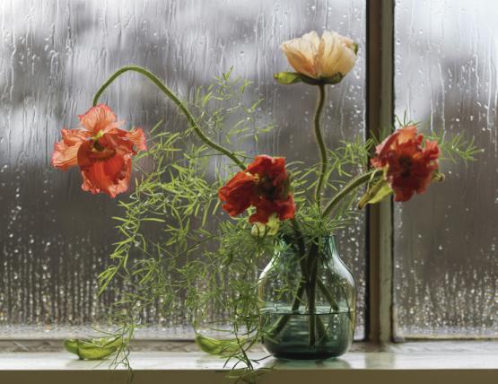 Silent Vase Medium 8